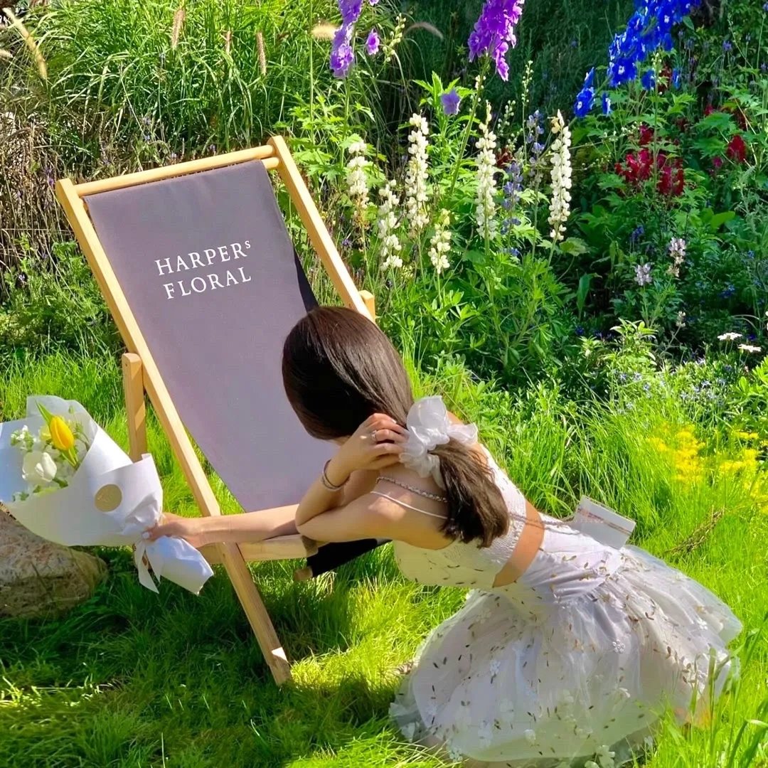 舞伎家的料理人真人版